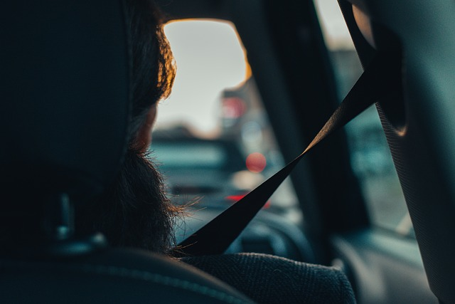 car, passenger, view