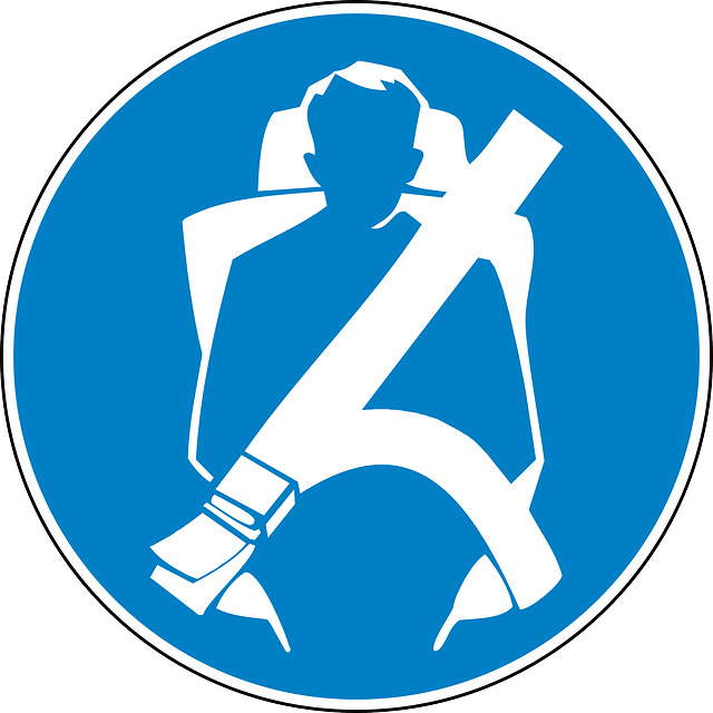 seat belt, safety belt, belt in