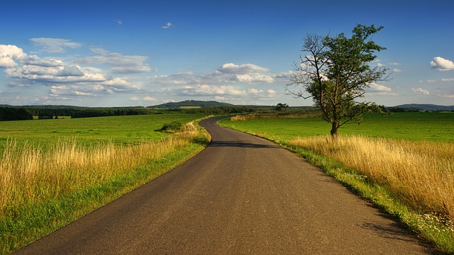 landscape, nature, grass